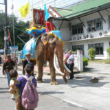 【プロが教える！タイ旅行ワンポイントアドバイス】 ⑤ゾウさん好きなら一度は行きたい「スリン象祭り」！